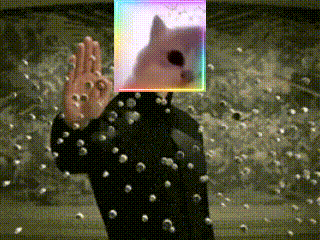 Matrix